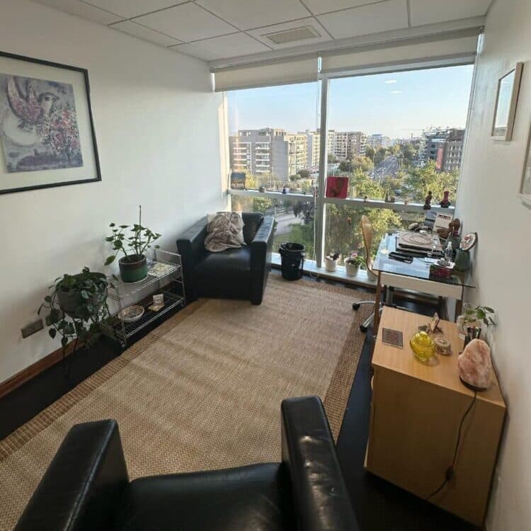 Daniela Mahave Cornejo - consulta 8