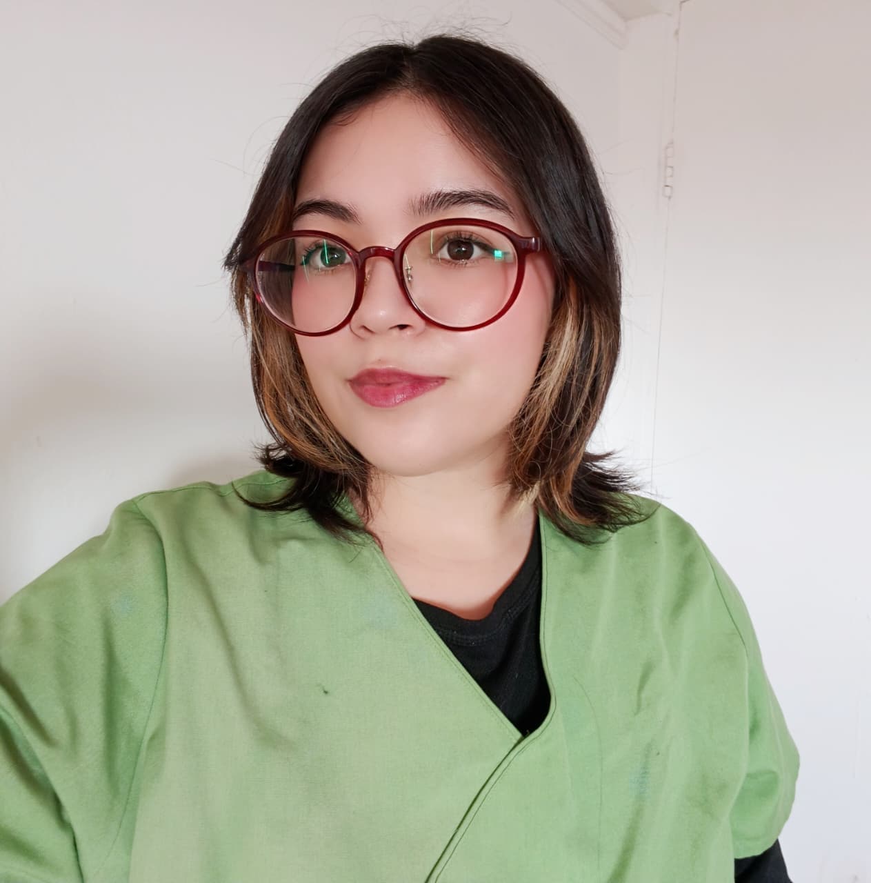 Javiera Astorga Cancino - consulta 4